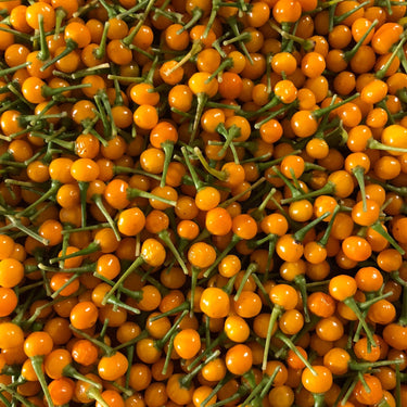 Aji Charapita - Seeds - The Pepper Pantry (Formerly Marie Sharp's)